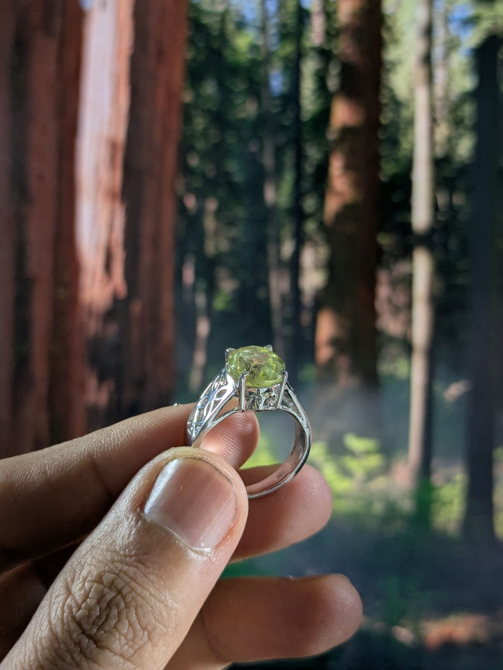 LRB-978-LT - Image 3